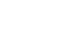 IMG Logo – Kundenreferenz VALEO IT